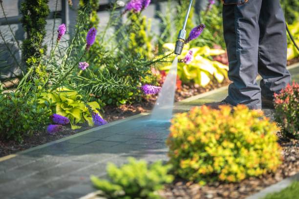 Best Dumpster Area Cleaning  in Carrollton, TX